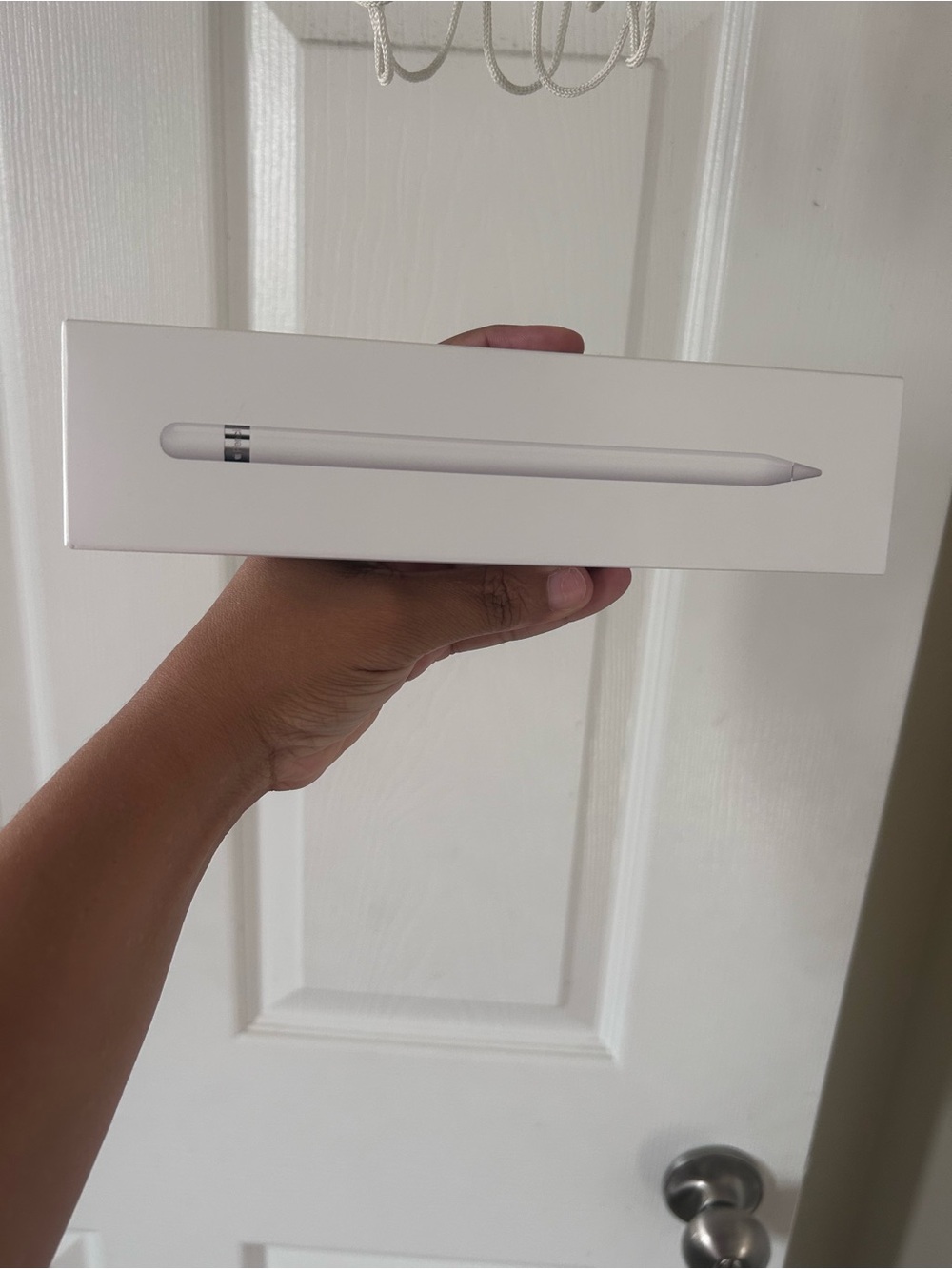 Apple White Apple Pencil in Branded Box